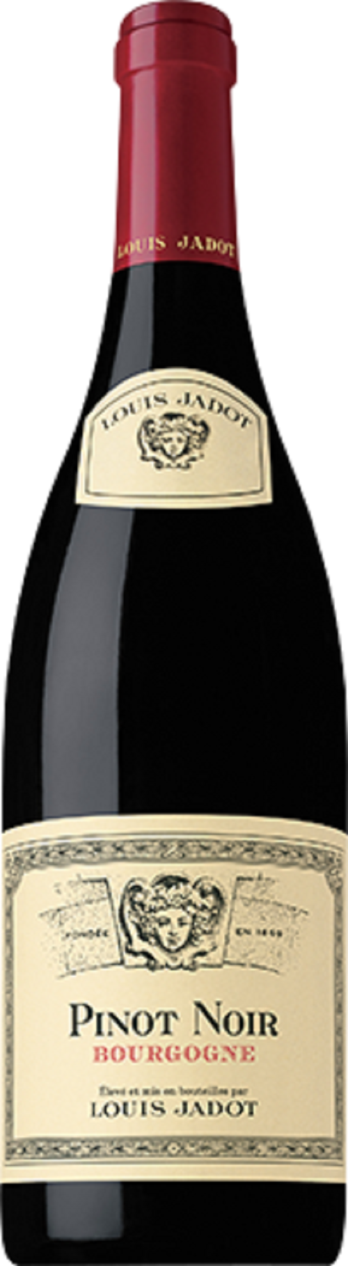 LOUIS JADOT PINOT NOIR