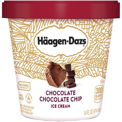 HAGEN-DAZS CHOCLATE CHOCLATE CHIP