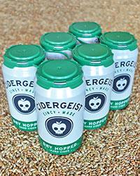 RHINEGEIST BEERY PUNCH 6-PACK